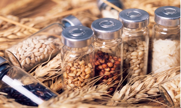 农业农村部：加大网络售种专项整治力度