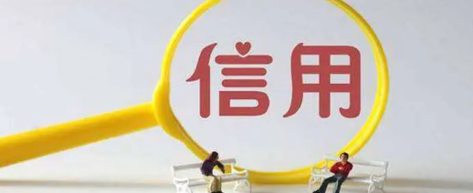 诚实信用原则视域下营利型维权乱象的多维度治理